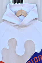 Load image into Gallery viewer, FLORIDA GATORS (w L)
