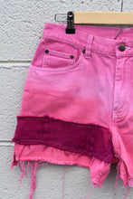 Load image into Gallery viewer, COMING ALONG
