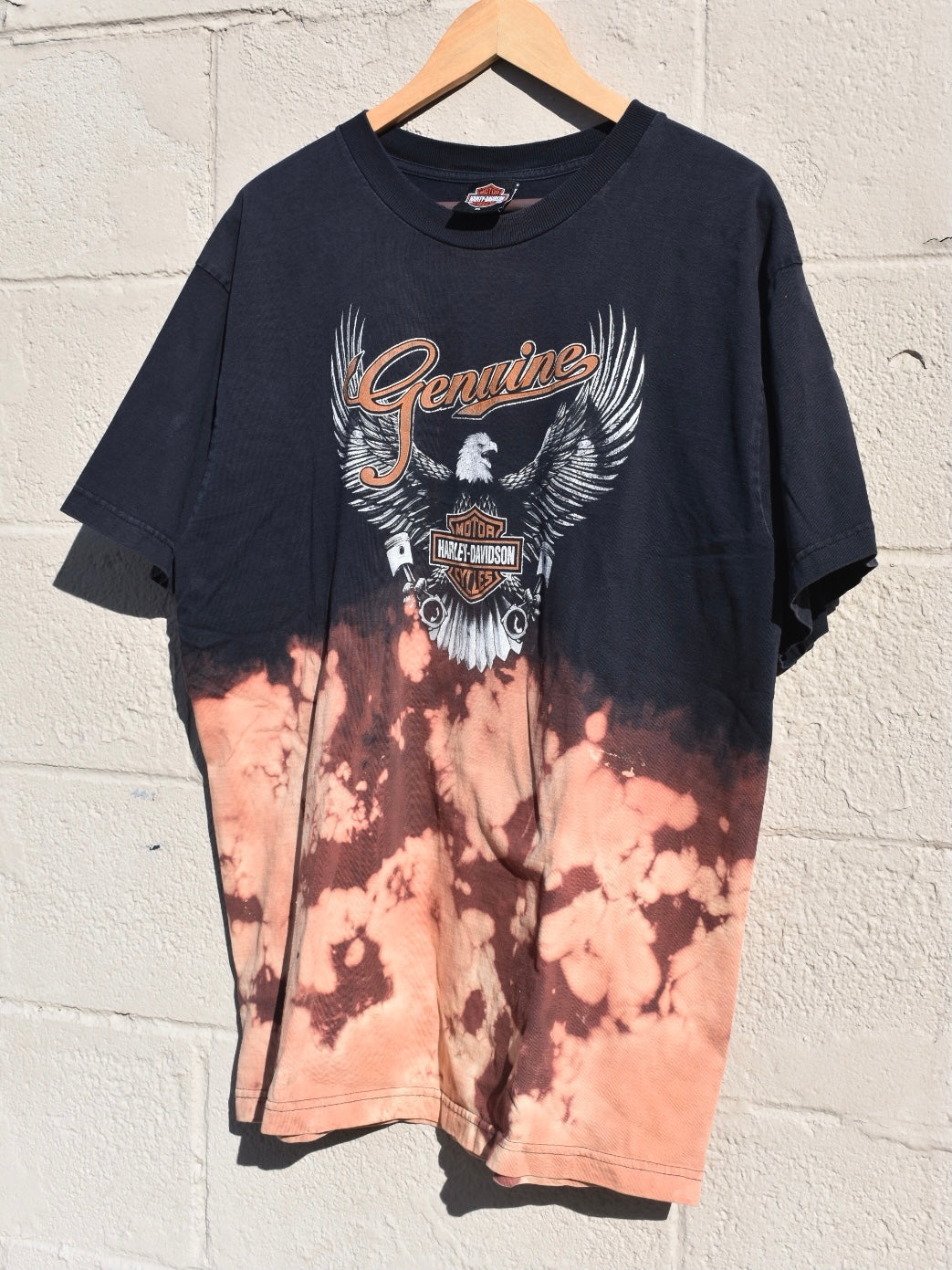 DISAPPEAR IN A QUIET PLACE (XL)